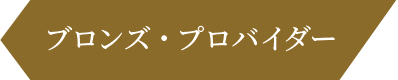 ブロンズ・プロバイダー