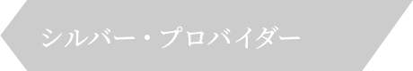 シルバー・プロバイダー