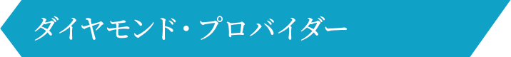 ダイヤモンド・プロバイダー